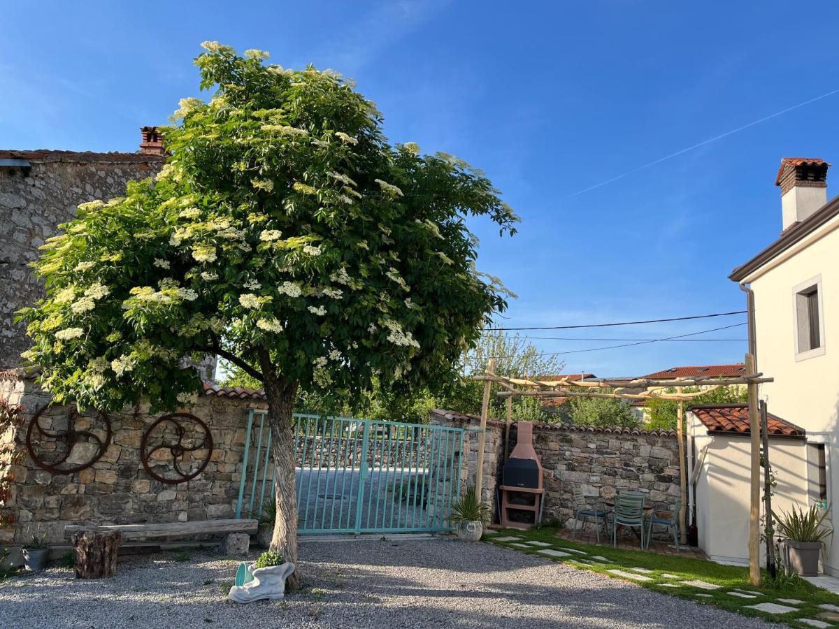Apartma Ob Stari Murvi, Sezana Luaran gambar